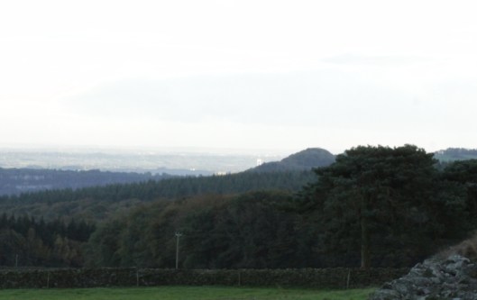 Ninewells17