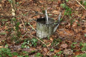 Catbrook hedgebank8