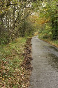 Catbrook October 20140001