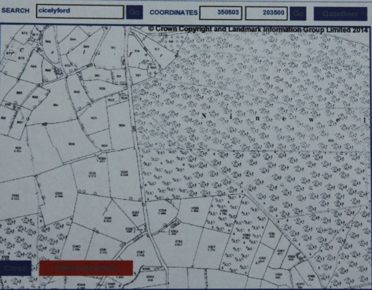 1881 map of Ninewells wood
