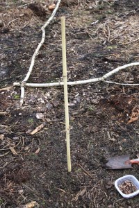Cane in place