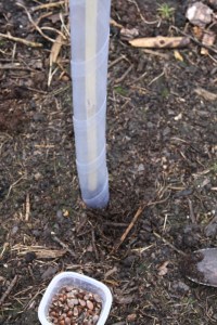 Plastic tube to protect seed