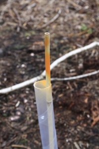 Orange spray paint