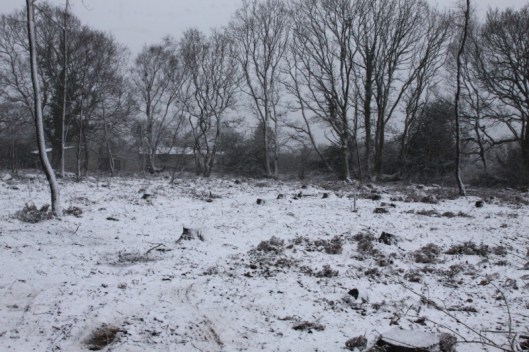 The snow came down