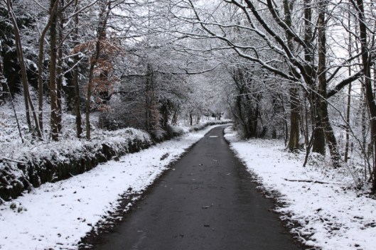 Wood in snow1