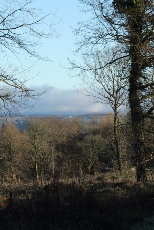 Across the Wye valley